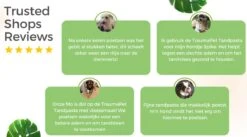 TraumaPet Tandpasta Met Colloïdaal Zilver Voor Dieren | Met Vleessmaak | Bij Stinkende Adem | Tandplak | Geïrriteerd Tandvlees | Tandsteen 7 TraumaPet Tandpasta Met Colloïdaal Zilver Voor Dieren | Met Vleessmaak | Bij Stinkende Adem | Tandplak | Geïrriteerd Tandvlees | Tandsteen -Hondenbenodigdheden 1200x666 1