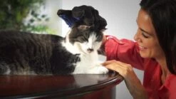 Vacht Verzorgingsborstel Voor Huisdieren - Blauw - LimitedDeals - Voor Honden Katten Konijnen Paarden - Tevens Massage Handschoen Voor Dieren! - Goed Voor De Verzorging Van De Vacht -Hondenbenodigdheden 1200x674