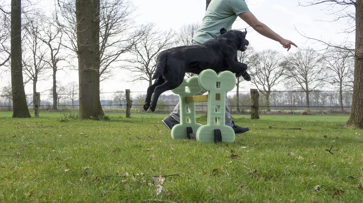 Dog Agility Set Indoor En Outdoor - Honden Trainingsset - 5 Dog Agility Set Indoor En Outdoor - Honden Trainingsset - - Afbeelding 3