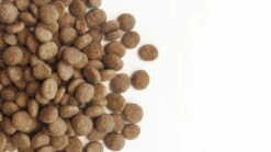 Carocroc Original 23/12 15 KG -Hondenbenodigdheden 1200x675 1