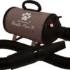 Tools-2-Groom Waterblazer Basic Paw-R 2200 Watt -Hondenbenodigdheden 1200x693 2