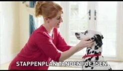 Beaphar Tandenborstel -Hondenbenodigdheden 1200x697 6