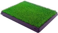 Merkloos Maoo Premium Hondentoilet - Geurbestendig & Hondvriendelijk Kunstgras - Uitneembare Opvangbak - Indoor En Outdoor - 63 X 50 Cm 11 Merkloos Maoo Premium Hondentoilet - Geurbestendig & Hondvriendelijk Kunstgras - Uitneembare Opvangbak - Indoor En Outdoor - 63 X 50 Cm -Hondenbenodigdheden 1200x698