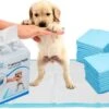 Mr. Poop Toodeloo -Puppy Pads - Training Pads - Maat S: 45 X 33cm - 30 Stuks -Hondenbenodigdheden 1200x717 1
