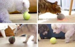 Cheerble Wicked Ball W1| Geel| Zelf Rollende Bal Voor Honden | 3 Automatische Speelmodi | Interactief En Intelligentie Hondenspeelgoed | Hondenspeeltje| USB Oplaadbaar 16 Cheerble Wicked Ball W1| Geel| Zelf Rollende Bal Voor Honden | 3 Automatische Speelmodi | Interactief En Intelligentie Hondenspeelgoed | Hondenspeeltje| USB Oplaadbaar -Hondenbenodigdheden 1200x741 1