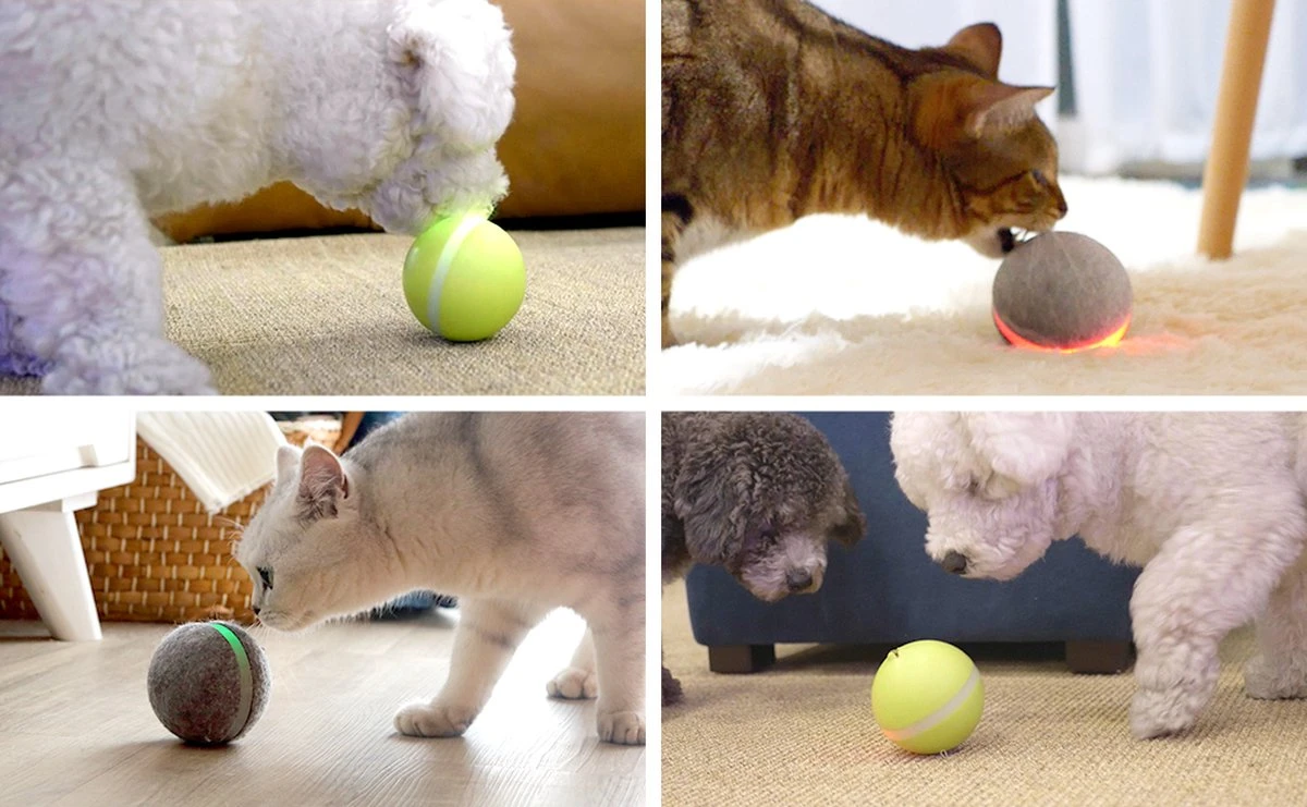 Cheerble Wicked Ball W1| Geel| Zelf Rollende Bal Voor Honden | 3 Automatische Speelmodi | Interactief En Intelligentie Hondenspeelgoed | Hondenspeeltje| USB Oplaadbaar 6 Cheerble Wicked Ball W1| Geel| Zelf Rollende Bal Voor Honden | 3 Automatische Speelmodi | Interactief En Intelligentie Hondenspeelgoed | Hondenspeeltje| USB Oplaadbaar - Afbeelding 4