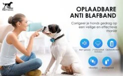 PetFriends Anti Blafband Zonder Schok - Gratis Hondenfluit - USB Oplaadbaar - Anti Blaf Apparaat - Opvoedingshalsband - Voor Grote En Kleine Honden 19 PetFriends Anti Blafband Zonder Schok - Gratis Hondenfluit - USB Oplaadbaar - Anti Blaf Apparaat - Opvoedingshalsband - Voor Grote En Kleine Honden -Hondenbenodigdheden 1200x742 2