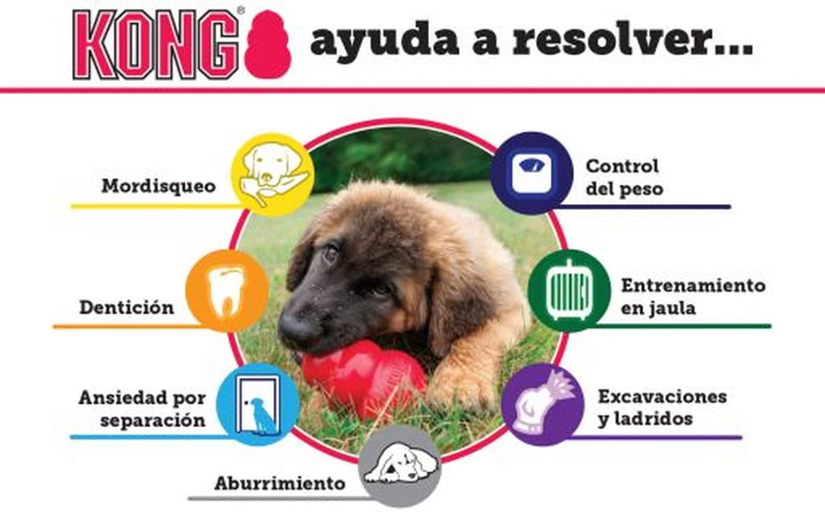 Kong Kauwbot - Hondenspeelgoed - Rood - M 13 Kong Kauwbot - Hondenspeelgoed - Rood - M - Afbeelding 11