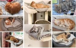 Merkloos Zelfverwarmende Dierendeken Zonder Stroom Thermo Deken Hond Kat Inclusief Adreslabel 70 X 47 Cm -Hondenbenodigdheden 1200x751 5