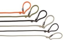 Rebel Petz - Honden Trainingslijn Met Halsband - Taupe, Zwart, Groen & Oranje - Maat Small Of Large - Kleur: Taupe, Maat: Large -Hondenbenodigdheden 1200x756 2