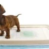 EasyPets Padhouder Honden Toilet -Hondenbenodigdheden 1200x780