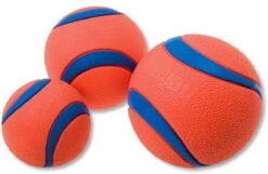 Chuckit! Chuckit Ultra Ball - XXL - 11 Cm -Hondenbenodigdheden 1200x781 6