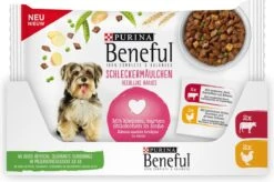 Beneful Pouch - Hondenvoer Kip & Rund In Saus - 40 X 100 G -Hondenbenodigdheden 1200x796 5