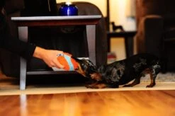 Chuckit! Chuckit Indoor Ball -Hondenbenodigdheden 1200x798 24