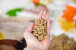 Kivo Petfood PROEFZAKJE Hondenbrokken Lam & Rijst 300 Gram - Koudgeperst - Glutenvrij -Hondenbenodigdheden 1200x799 13