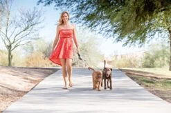 Wigzi Dual Doggie 2.0 Voor Twee Honden - Hondenriem - Grijs - 3m - <22 Kg (per Hond) 16 Wigzi Dual Doggie 2.0 Voor Twee Honden - Hondenriem - Grijs - 3m - <22 Kg (per Hond) -Hondenbenodigdheden 1200x799 2