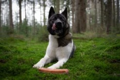 The Original Himalayan Yak Kauwbot Medium Puur Fit -Hondenbenodigdheden 1200x799 23