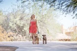 Wigzi Dual Doggie 2.0 Voor Twee Honden - Hondenriem - Grijs - 3m - <22 Kg (per Hond) 14 Wigzi Dual Doggie 2.0 Voor Twee Honden - Hondenriem - Grijs - 3m - <22 Kg (per Hond) -Hondenbenodigdheden 1200x799