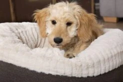 Scruffs Ellen Donut - Warme Hondenmand Van Imitatiebont - Kleur Grijs, Roze Of Bruin - Maat M Of L - Kleur: Grijs, Maat: Medium -Hondenbenodigdheden 1200x799 32