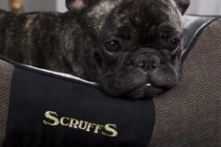 Hondenmand Zacht En Stevig, Anti-Slip En Wasbaar - Scruffs Chester Box Bed - In Grijs En Bruin In Maat S Tot XL - Kleur: Grijs, Maat: Extra Large -Hondenbenodigdheden 1200x799 36