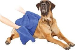 Dierenhanddoek Microvezel - Honden En Katten - Incl. Handvatten - 40x60 Cm - Blauw 8 Dierenhanddoek Microvezel - Honden En Katten - Incl. Handvatten - 40x60 Cm - Blauw -Hondenbenodigdheden 1200x799 5