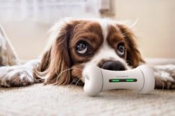 Wickedbone - Automatisch, Interactief En Intelligent Speelgoed Voor Honden - App & Bluetooth Bestuurbaar - USB Oplaadbaar -Hondenbenodigdheden 1200x799 52