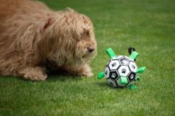 Honden Speelgoed Bal Voetbal Extra Sterk Met Handvaten Ball Hondenbal - 15 Cm - Dutchwide 26 Honden Speelgoed Bal Voetbal Extra Sterk Met Handvaten Ball Hondenbal - 15 Cm - Dutchwide -Hondenbenodigdheden 1200x799 61