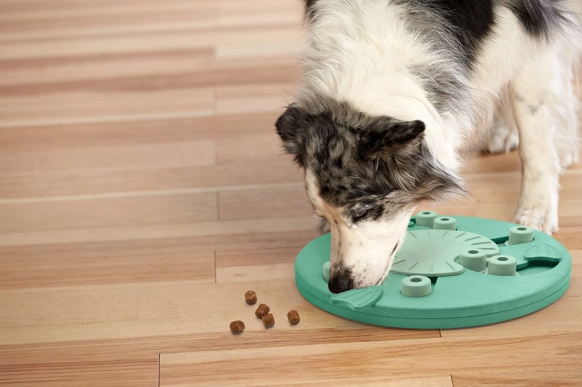 Nina Ottosson Dog Worker Composiet 34,5x34,5x5 Cm 8 Nina Ottosson Dog Worker Composiet 34,5x34,5x5 Cm - Afbeelding 6