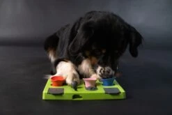 Eat Slow Live Longer Puzzel Rectangle – Intelligentie Speelgoed Voor Honden – Interactief Hondenspeelgoed – Uitdagende Hondenpuzzel – Gerecyclede Materialen – Te Vullen Met Snacks - 25x26x5 Cm - Groen 10 Eat Slow Live Longer Puzzel Rectangle – Intelligentie Speelgoed Voor Honden – Interactief Hondenspeelgoed – Uitdagende Hondenpuzzel – Gerecyclede Materialen – Te Vullen Met Snacks - 25x26x5 Cm - Groen -Hondenbenodigdheden 1200x800 118