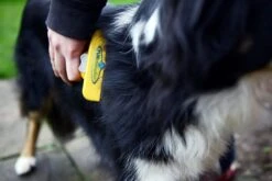 Furminator® Hond Langhaar - Vermindert Haaruitval Tot 90% - Hondenborstel - L -Hondenbenodigdheden 1200x800 12