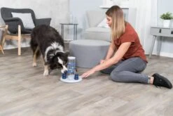 Trixie Dog Activity Gambling Tower - 27X25 CM 28 Trixie Dog Activity Gambling Tower - 27X25 CM -Hondenbenodigdheden 1200x800 126