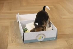 Merkloos Beeztees Puppy Cadeaupakket - Puppy Pakket - Leuke Box Met Puppy Speelgoed En Snacks 12 Merkloos Beeztees Puppy Cadeaupakket - Puppy Pakket - Leuke Box Met Puppy Speelgoed En Snacks -Hondenbenodigdheden 1200x800 149