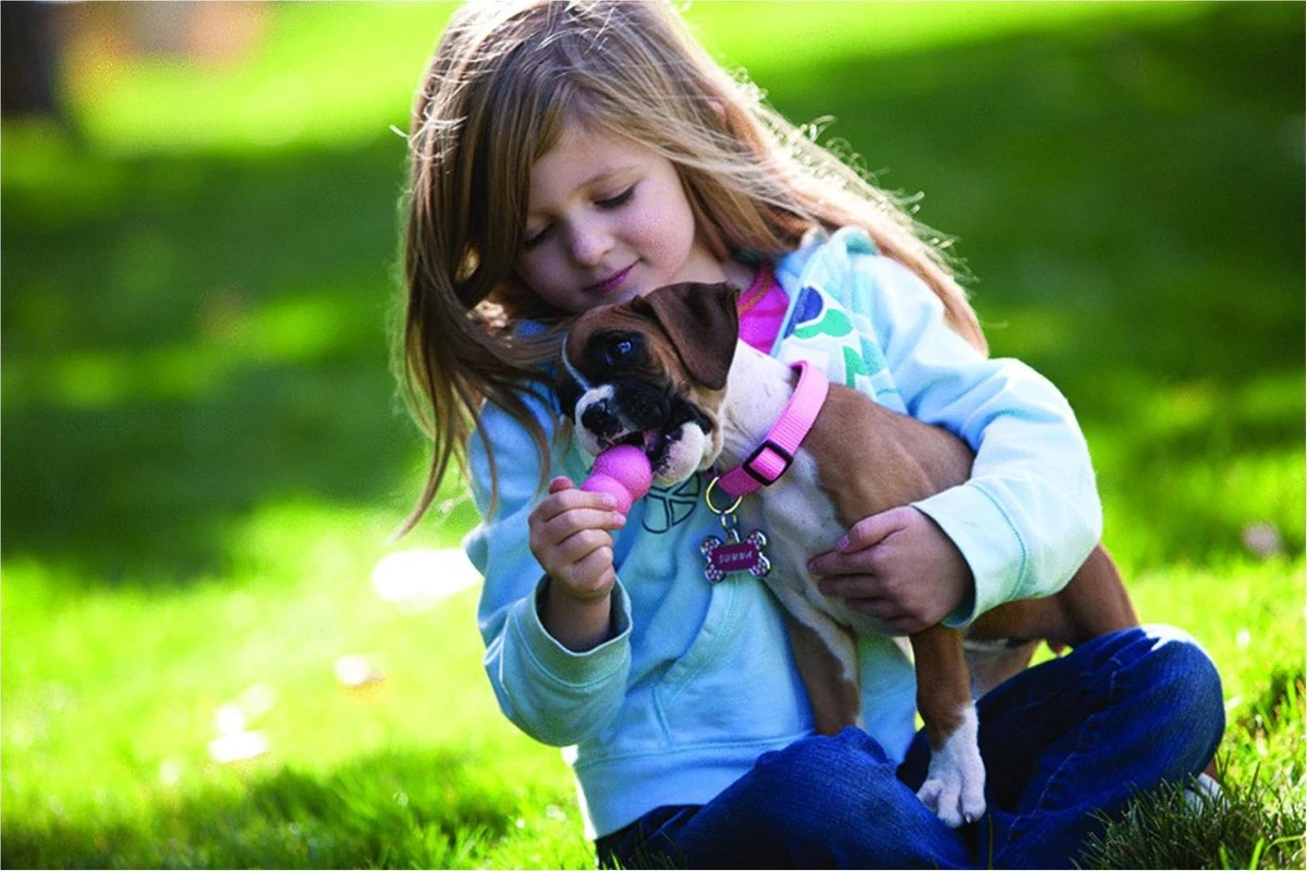 Kong Puppy - Kauwbot Hondenspeelgoed Small - Kauwbot - 85mm X 42mm - Groen/Wit 7 Kong Puppy - Kauwbot Hondenspeelgoed Small - Kauwbot - 85mm X 42mm - Groen/Wit - Afbeelding 5