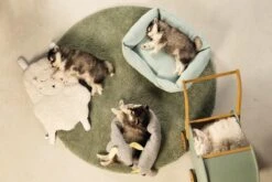 Beeztees Puppy Cosy Doggy - Hondenspeelgoed - Grijs - 120x12x9,5 Cm -Hondenbenodigdheden 1200x800 219