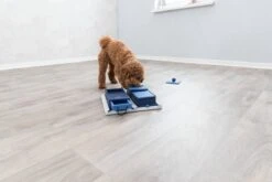 Trixie Dog Activity Poker Box 1 - 31X31 CM -Hondenbenodigdheden 1200x800 227