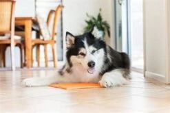 Lickimat Buddy - Voermat - Slow Feeder - 20 Cm - Oranje 16 Lickimat Buddy - Voermat - Slow Feeder - 20 Cm - Oranje -Hondenbenodigdheden 1200x800 232