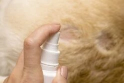 Petoxil Pet Spray Met Colloïdaal Zilver Is Speciaal Ontworpen Voor Gebruik Op Alle (huis) Dierensoorten. Revolutionair In Hygiëne -Hondenbenodigdheden 1200x800 26
