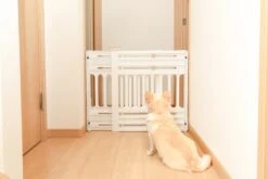 Iris Ohyama Huisdier Bariere PBR-600 - Kunststof - Wit/Beige - Uitschuifbaar -Hondenbenodigdheden 1200x800 42