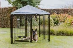 MaxxPet Hondenkennel - Hondenkennel Met Afneembaar Dak - Geschikt Voor Buiten En Binnen - 142 X 142 X 153 Cm -Hondenbenodigdheden 1200x800 44