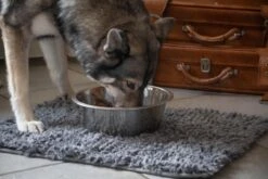 Royal Dry Absorberende Anti-knoeimat Voor Honden – Trekt Vuil Als Een Spons – Laat Geen Vocht Door – 61x45 Cm – Microfiber Chenille – Geschikt Voor Honden En Overige Huisdieren -Hondenbenodigdheden 1200x800 62