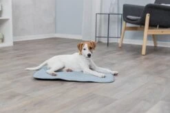 Trixie Junior Ligmat Fresh Lichtblauw - 60X50 CM 19 Trixie Junior Ligmat Fresh Lichtblauw - 60X50 CM -Hondenbenodigdheden 1200x800 83