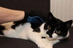 Merkloos Vachtverzorgingshandschoen -Hondenbenodigdheden 1200x800 9