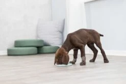 Trixie Junior Likplaat Mintgroen - 21X21 CM 10 Trixie Junior Likplaat Mintgroen - 21X21 CM -Hondenbenodigdheden 1200x800 93