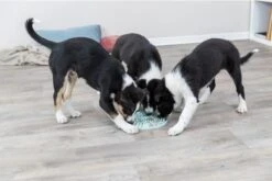 Trixie Junior Likplaat Mintgroen - 21X21 CM 14 Trixie Junior Likplaat Mintgroen - 21X21 CM -Hondenbenodigdheden 1200x800 94