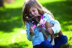 Kong Puppy - Hondenspeelgoed - Assorti - L 33 Kong Puppy - Hondenspeelgoed - Assorti - L -Hondenbenodigdheden 1200x801 5