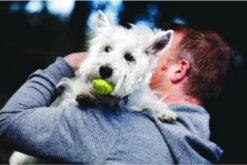 Kong Squeakair Ball - Hondenspeelgoed - 6 St 12 Kong Squeakair Ball - Hondenspeelgoed - 6 St -Hondenbenodigdheden 1200x802 13