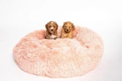 Studio Proud - Donut Mand - Honden En Katten Slaapbed - 50 Cm Roze - Pluche Hondenmand - Verkrijgbaar In Verschillende Maten En Kleuren -Hondenbenodigdheden 1200x803 4