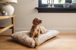 Designed By Lotte Hondenkussen Pluche Xanti Beige 100 X 68 X 5 Cm -Hondenbenodigdheden 1200x804 9