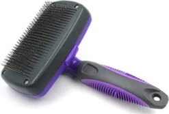 Buxibo Ondervacht Borstel Voor Hond En Kat - Kliksysteem Hondenborstel - Kattenkam - Hondenkam Voor Ondervacht - Klittenkam Voor Honden En Katten - Verwijderd Klitten 21 Buxibo Ondervacht Borstel Voor Hond En Kat - Kliksysteem Hondenborstel - Kattenkam - Hondenkam Voor Ondervacht - Klittenkam Voor Honden En Katten - Verwijderd Klitten -Hondenbenodigdheden 1200x809 2