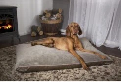 Scruffs Chateau - Hondenbed Orthopedisch Met Memory Foam Voor Extra Steun Voor Rug En Gewrichten - Grijs & Bruin Maat M/L - Kleur: Grijs, Maat: Medium -Hondenbenodigdheden 1200x811 5